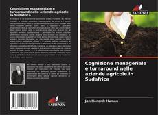 Capa do livro de Cognizione manageriale e turnaround nelle aziende agricole in Sudafrica 