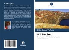 Обложка Goldbergbau