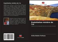 Exploitation minière de l'or kitap kapağı