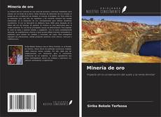 Portada del libro de Minería de oro