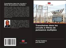 Copertina di Transitoires dans les circuits à filtres de puissance multiples