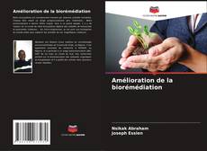 Capa do livro de Amélioration de la biorémédiation 