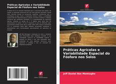 Couverture de Práticas Agrícolas e Variabilidade Espacial do Fósforo nos Solos