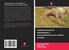 Couverture de Suplementação de butafosfano e cianocobalamina em ovelhas prenhes