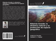 Обложка Ribeirão Grande: la dinámica natural y su producción de espacio geográfico