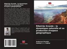 Capa do livro de Ribeirão Grande : la dynamique naturelle et sa production d'espace géographique 