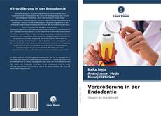 Vergrößerung in der Endodontie的封面