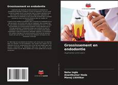 Bookcover of Grossissement en endodontie