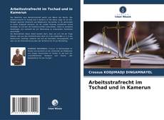 Arbeitsstrafrecht im Tschad und in Kamerun kitap kapağı