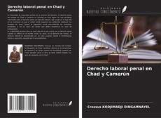 Portada del libro de Derecho laboral penal en Chad y Camerún