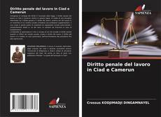 Diritto penale del lavoro in Ciad e Camerun的封面