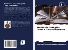 Borítókép a  Уголовное трудовое право в Чаде и Камеруне - hoz