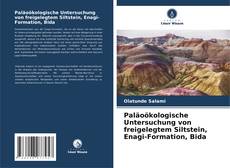 Paläoökologische Untersuchung von freigelegtem Siltstein, Enagi-Formation, Bida的封面