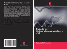 Buchcover von Quando os bioinorgânicos sondam o p53