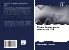 Couverture de Когда биоорганика зондирует p53
