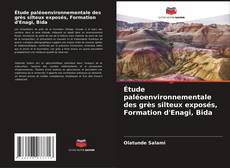 Capa do livro de Étude paléoenvironnementale des grès silteux exposés, Formation d'Enagi, Bida 