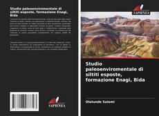 Studio paleoenviromentale di siltiti esposte, formazione Enagi, Bida的封面