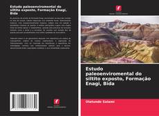 Couverture de Estudo paleoenviromental do siltito exposto, Formação Enagi, Bida