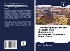 Couverture de Палеоэнвироментальное исследование обнаженного алевролита, формация Энаги, Бида
