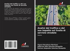 Analisi del traffico e del suo impatto sul livello di servizio stradale的封面