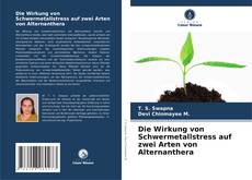 Copertina di Die Wirkung von Schwermetallstress auf zwei Arten von Alternanthera