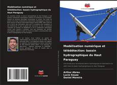 Modélisation numérique et télédétection: bassin hydrographique du Haut Paraguay kitap kapağı