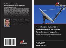 Bookcover of Modellazione numerica e telerilevamento: bacino del fiume Paraguay superiore