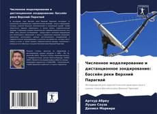 Borítókép a  Численное моделирование и дистанционное зондирование: бассейн реки Верхний Парагвай - hoz