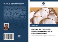 Copertina di Die Kraft der Pilzenzyme: Erforschung der Laccase in Pleurotus ostreatus