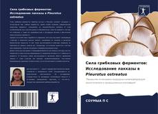 Borítókép a  Сила грибковых ферментов: Исследование лакказы в Pleurotus ostreatus - hoz