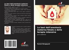 Le basi dell'anestesia materno-fetale e della terapia intensiva的封面