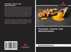 Buchcover von Turmeric: Cancer and detoxification