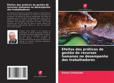 Portada del libro de Efeitos das práticas de gestão de recursos humanos no desempenho dos trabalhadores