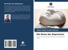 Die Reise der Depression kitap kapağı