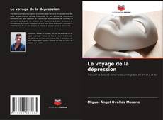 Capa do livro de Le voyage de la dépression 