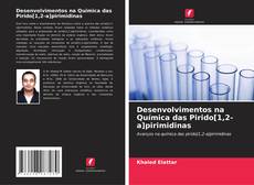 Borítókép a  Desenvolvimentos na Química das Pirido[1,2-a]pirimidinas - hoz