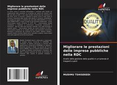 Migliorare le prestazioni delle imprese pubbliche nella RDC的封面