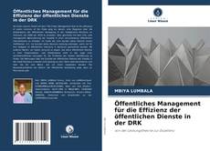 Обложка Öffentliches Management für die Effizienz der öffentlichen Dienste in der DRK