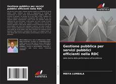 Gestione pubblica per servizi pubblici efficienti nella RDC的封面