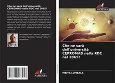 Bookcover of Che ne sarà dell'università CEPROMAD nella RDC nel 2065?