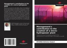 Management's contribution to the creation of a micro-hydropower plant kitap kapağı