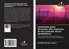 Portada del libro de Contributo della direzione alla creazione di una centrale micro-idroelettrica