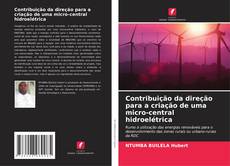 Buchcover von Contribuição da direção para a criação de uma micro-central hidroelétrica