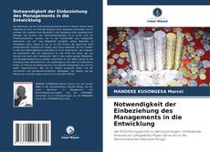 Notwendigkeit der Einbeziehung des Managements in die Entwicklung的封面