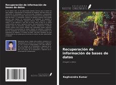 Portada del libro de Recuperación de información de bases de datos