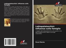 Bookcover of Labiopalatoschisi: Influenza sulla famiglia