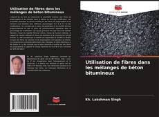 Обложка Utilisation de fibres dans les mélanges de béton bitumineux