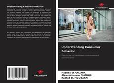 Buchcover von Understanding Consumer Behavior