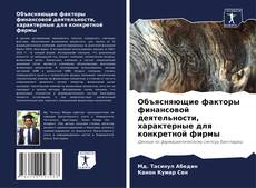 Portada del libro de Объясняющие факторы финансовой деятельности, характерные для конкретной фирмы