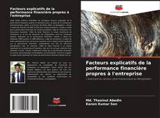 Bookcover of Facteurs explicatifs de la performance financière propres à l'entreprise